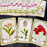 Herbário Lenormand – A Magia das Ervas em 36 Cartas