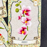 Herbário Lenormand – A Magia das Ervas em 36 Cartas